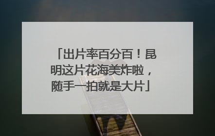 出片率百分百！昆明这片花海美炸啦，随手一拍就是大片