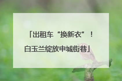 出租车“换新衣”！白玉兰绽放申城街巷