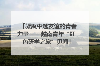 凝聚中越友谊的青春力量——越南青年“红色研学之旅”见闻