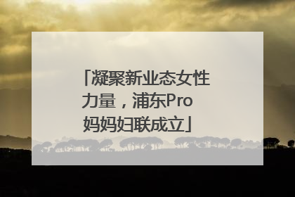 凝聚新业态女性力量，浦东Pro妈妈妇联成立