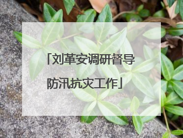 刘革安调研督导防汛抗灾工作