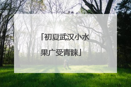 初夏武汉小水果广受青睐
