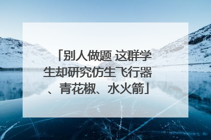 别人做题 这群学生却研究仿生飞行器、青花椒、水火箭