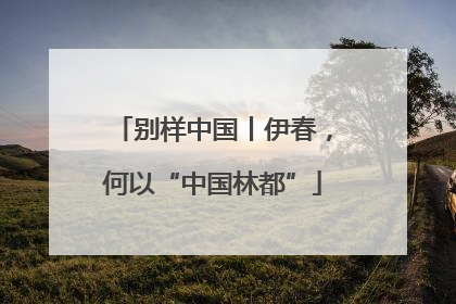 别样中国丨伊春，何以“中国林都”