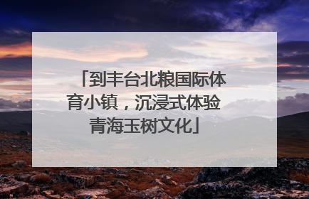 到丰台北粮国际体育小镇，沉浸式体验青海玉树文化