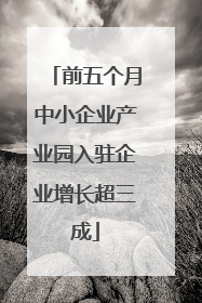 前五个月中小企业产业园入驻企业增长超三成