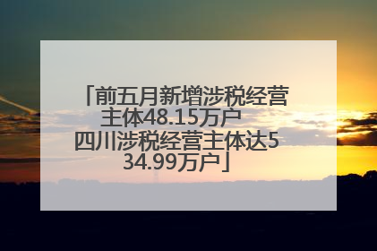 前五月新增涉税经营主体48.15万户 四川涉税经营主体达534.99万户