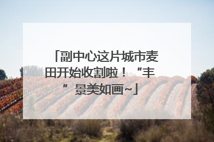 副中心这片城市麦田开始收割啦！“丰”景美如画~