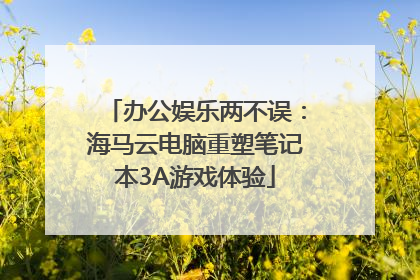 办公娱乐两不误：海马云电脑重塑笔记本3A游戏体验