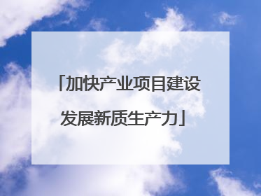 加快产业项目建设 发展新质生产力