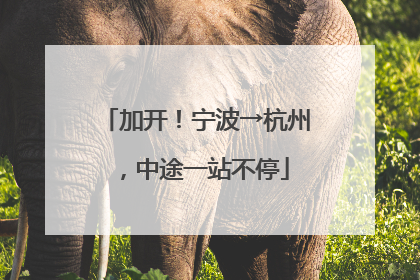 加开！宁波→杭州，中途一站不停
