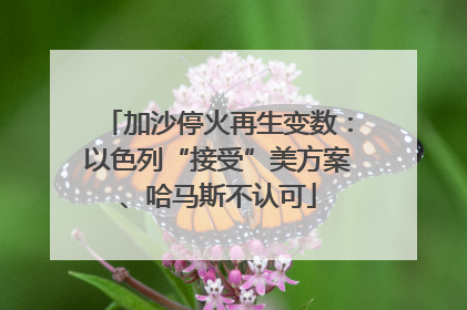 加沙停火再生变数：以色列“接受”美方案、哈马斯不认可