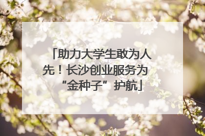 助力大学生敢为人先！长沙创业服务为“金种子”护航