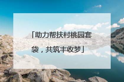 助力帮扶村桃园套袋，共筑丰收梦