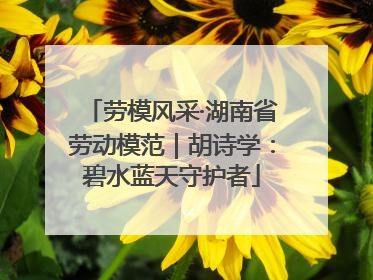 劳模风采·湖南省劳动模范｜胡诗学：碧水蓝天守护者