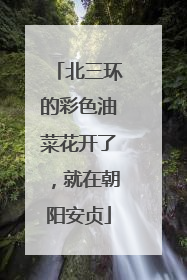 北三环的彩色油菜花开了，就在朝阳安贞