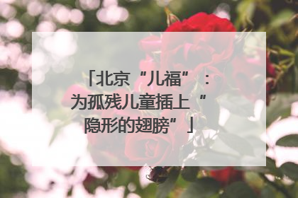 北京“儿福”：为孤残儿童插上“隐形的翅膀”