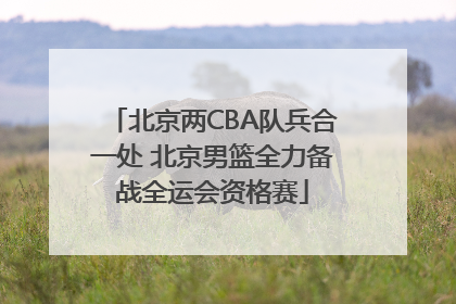 北京两CBA队兵合一处 北京男篮全力备战全运会资格赛