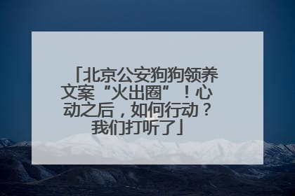 北京公安狗狗领养文案“火出圈”！心动之后，如何行动？我们打听了