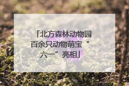 北方森林动物园百余只动物萌宝“六一”亮相