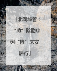 北湖城管：“剪”除隐患树“修”来安居行