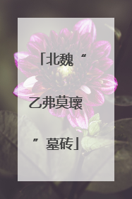 北魏“乙弗莫瓌”墓砖