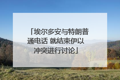埃尔多安与特朗普通电话 就结束伊以冲突进行讨论