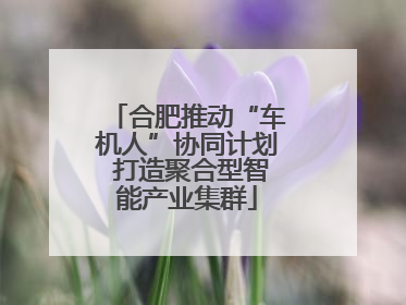 合肥推动“车机人”协同计划 打造聚合型智能产业集群