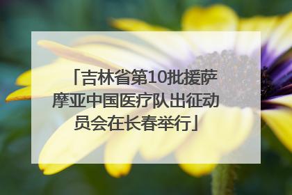 吉林省第10批援萨摩亚中国医疗队出征动员会在长春举行