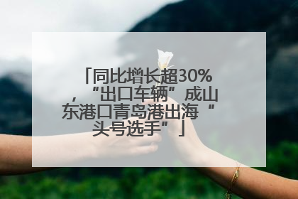 同比增长超30%，“出口车辆”成山东港口青岛港出海“头号选手”