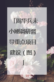 周华兵未小刚调研督导重点项目建设（图）