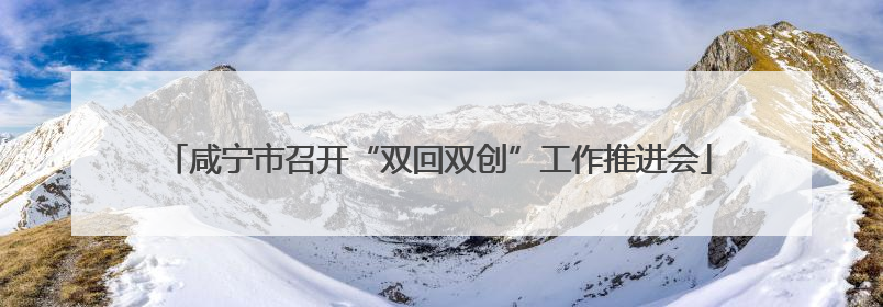 咸宁市召开“双回双创”工作推进会