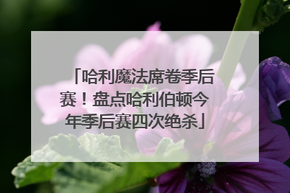 哈利魔法席卷季后赛！盘点哈利伯顿今年季后赛四次绝杀