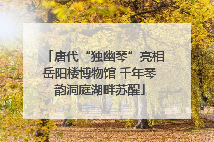唐代“独幽琴”亮相岳阳楼博物馆 千年琴韵洞庭湖畔苏醒
