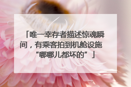 唯一幸存者描述惊魂瞬间，有乘客拍到机舱设施“哪哪儿都坏的”