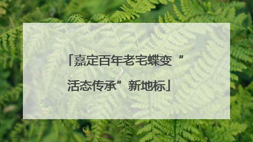 嘉定百年老宅蝶变“活态传承”新地标