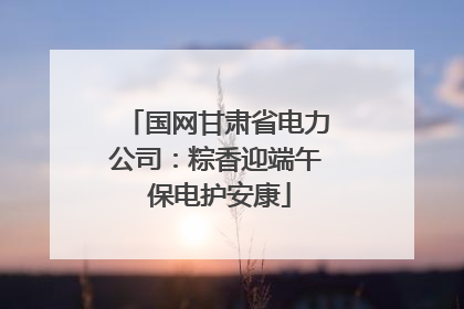 国网甘肃省电力公司：粽香迎端午 保电护安康