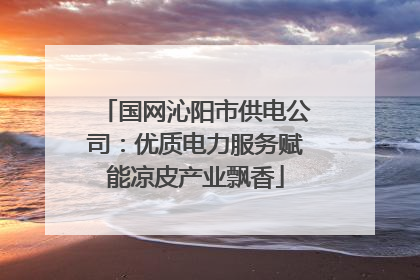国网沁阳市供电公司：优质电力服务赋能凉皮产业飘香