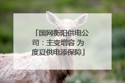 国网衡阳供电公司：主变增容 为度夏供电添保障