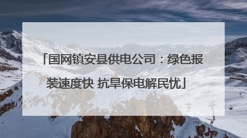 国网镇安县供电公司：绿色报装速度快 抗旱保电解民忧