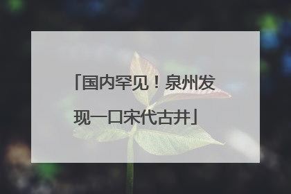 国内罕见！泉州发现一口宋代古井