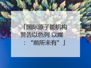 国际原子能机构警告以色列 以媒：“前所未有”