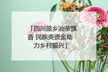 四川苗乡油茶飘香 民族类资金助力乡村振兴