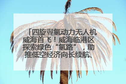 四旋翼氢动力无人机威海首飞！威海临港区探索绿色“氢路”，助推低空经济向长续航、大载重“进化”
