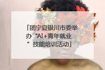 团宁夏银川市委举办“AI+青年就业”技能培训活动