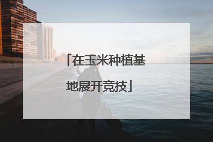 在玉米种植基地展开竞技