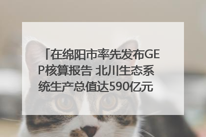在绵阳市率先发布GEP核算报告 北川生态系统生产总值达590亿元｜新闻发布最前线