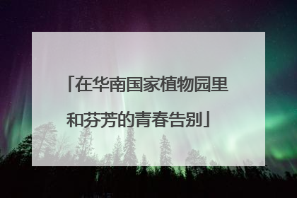 在华南国家植物园里和芬芳的青春告别