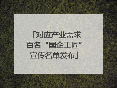 对应产业需求 百名“国企工匠”宣传名单发布