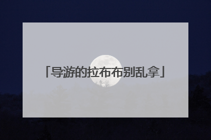 导游的拉布布别乱拿